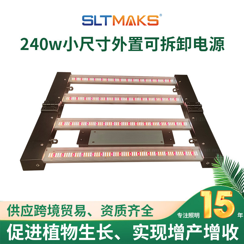 揭阳植物灯